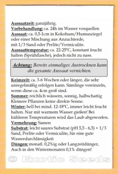 Averrhoa carambola, 5 Samen